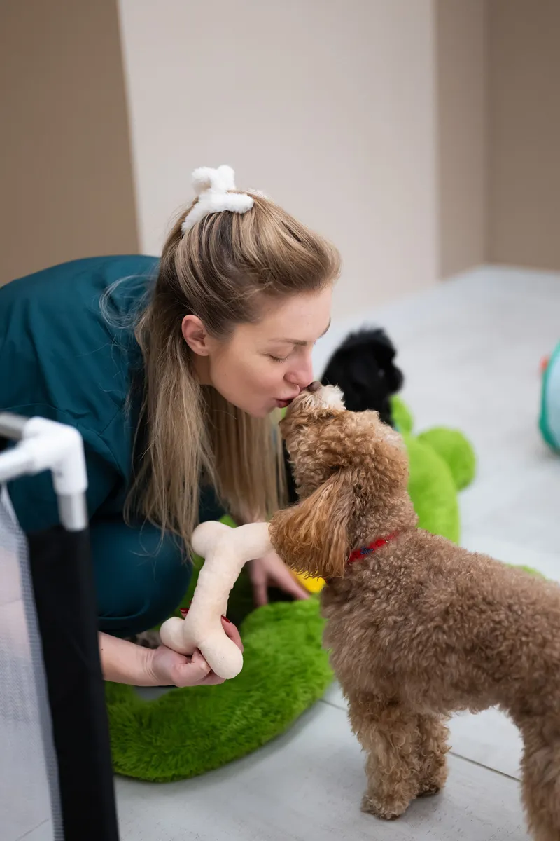 Grooming Studio Interior